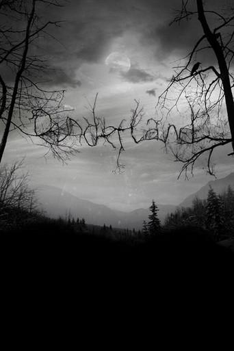 Dunderland (2012) poster