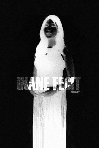 INANE FECIT (2027) poster