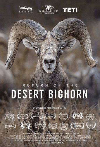 Return of the Desert Bighorn (2018) poster
