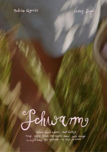 Schwarm (2026) poster