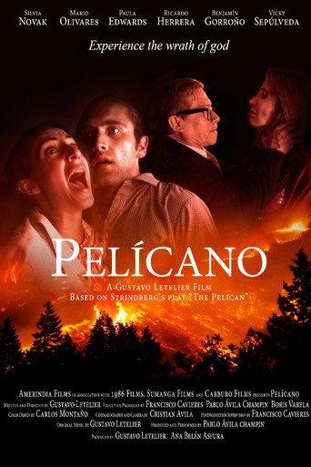 Pelícano (2019) poster