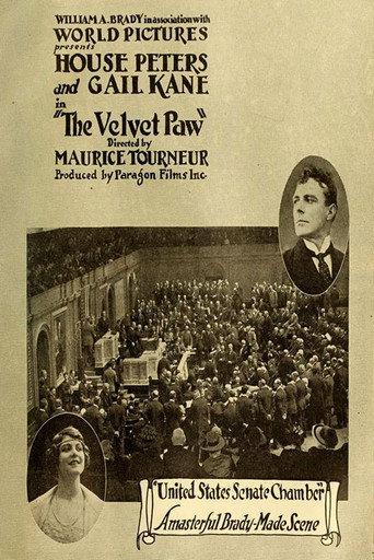 The Velvet Paw (1916) poster