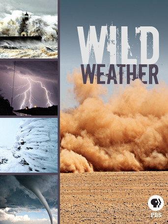 Wild Weather () poster
