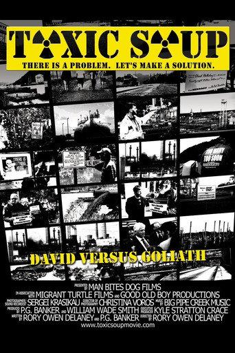 Toxic Soup (2010) poster