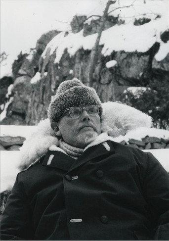 A portrait of the painter Oluf Høst (1964) poster