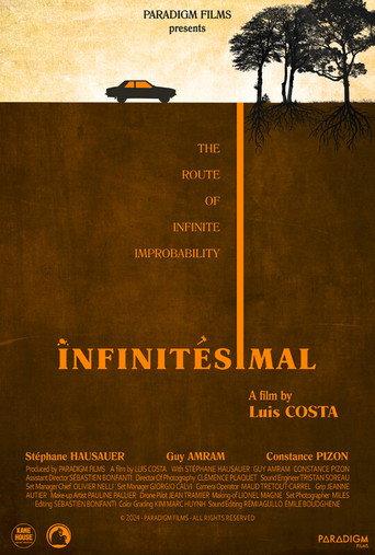 Infinitesimal () poster