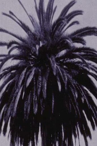 Self-Portrait As A City (1977) poster
