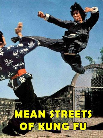 Mean Streets of Kung-Fu (1973) poster
