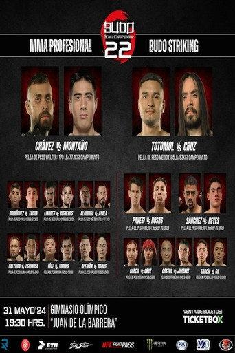 Budo Sento Championship 22 (2024) poster