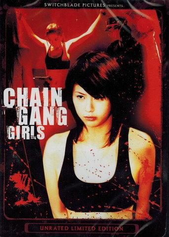 Chain Gang Girls (2007) poster