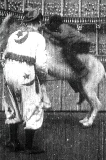 Trick Donkey (1903) poster