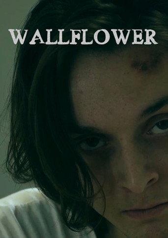 Wallflower (2025) poster