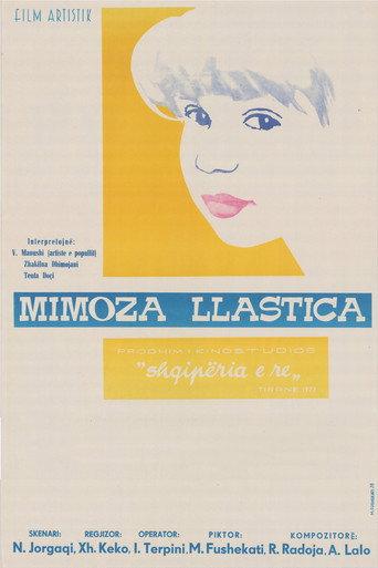 Mimoza, the Spoilt Child (1973) poster