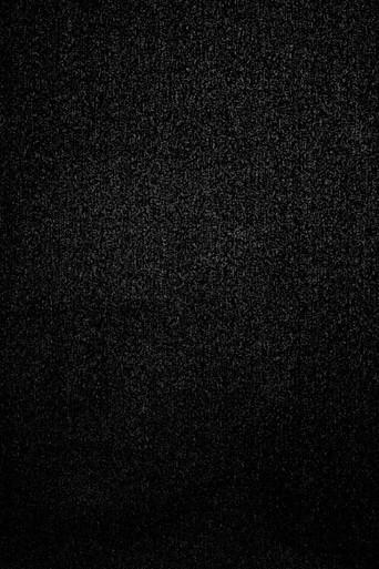 Permadeath black (2024) poster
