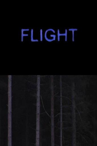 Flight (2005) poster