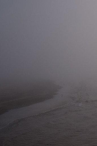 Niebla (2017) poster