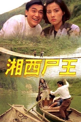 Kung Fu Vampire (1993) poster