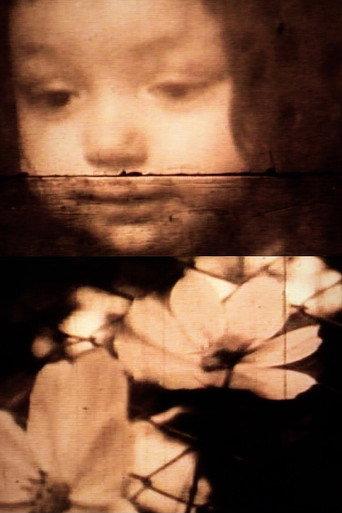 M.O. (1971) poster