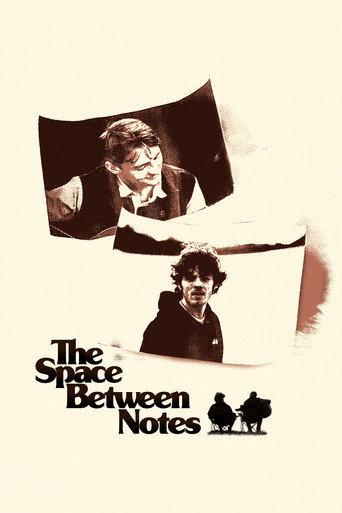 The Space Between Notes () poster