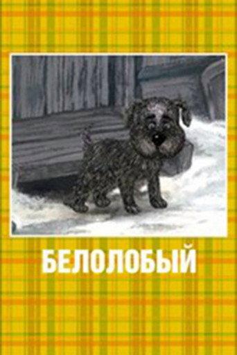 White-Browed (2010) poster