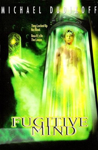 Fugitive Mind (1999) poster