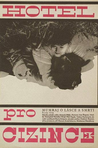 Hotel for Strangers (1967) poster