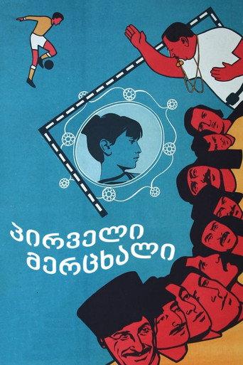 First Swallow (1975) poster