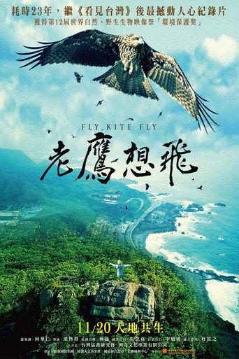 Fly, Kite Fly (2015) poster