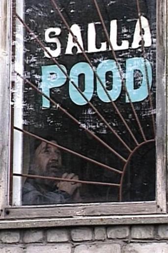 A View from the Mountain (2006) poster