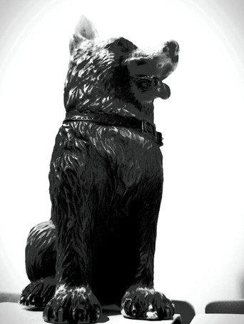The Dog of Sarandi Alley (2021) poster