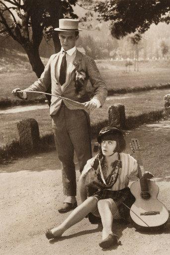 The Happy Vagabonds (1928) poster