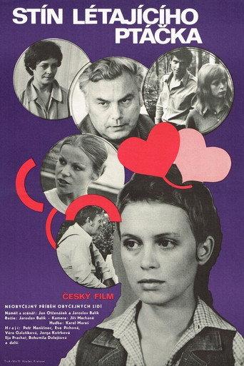 Shadow of a Flying Bird (1977) poster