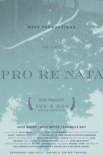 Pro Re Nata () poster