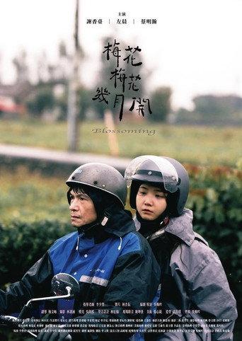 梅花梅花幾月開 () poster