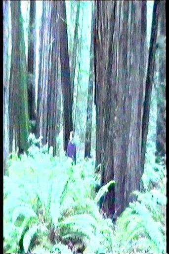 Dreamer (1999) poster