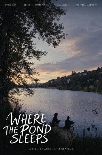 Where The Pond Sleeps () poster