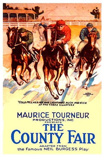 The County Fair (1920) poster