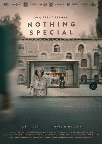 Nothing Special (2024) poster