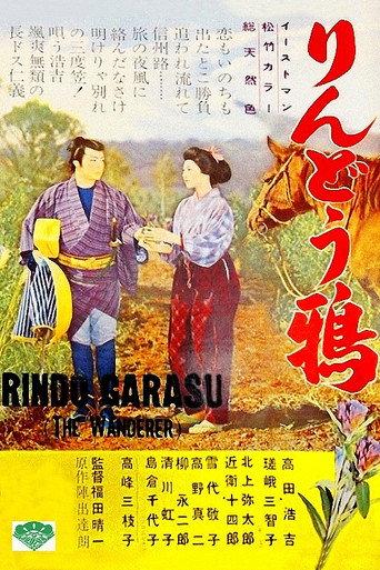 The Wanderer (1957) poster