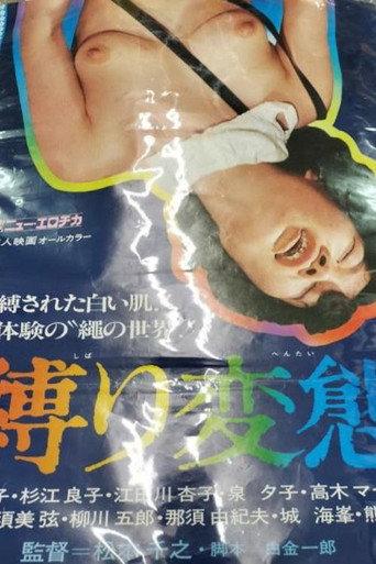 Shibari hentai (1979) poster