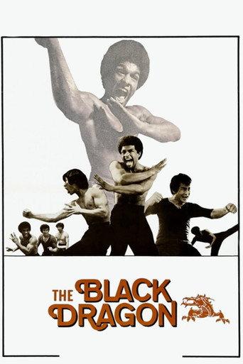 The Black Dragon (1974) poster