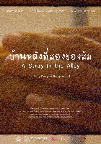 A Stray in the Alley () poster