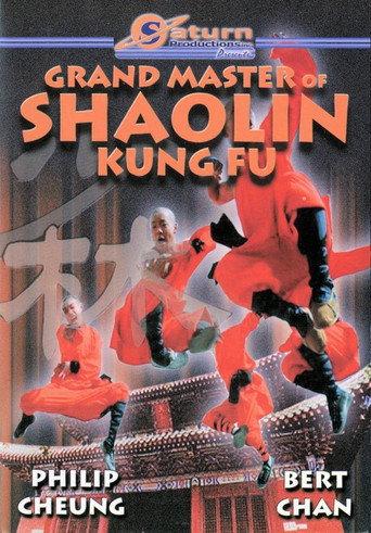 The Divine Martial Arts Of Dharma (1978) poster