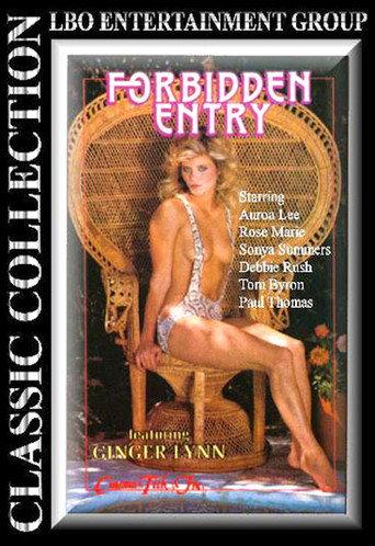 Forbidden Entry (1987) poster