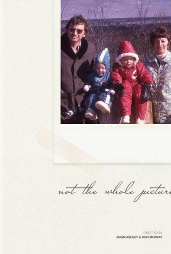 Not The Whole Picture () poster