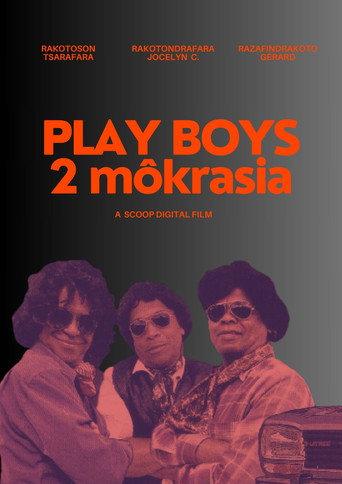 Play Boys 2 (2009) poster