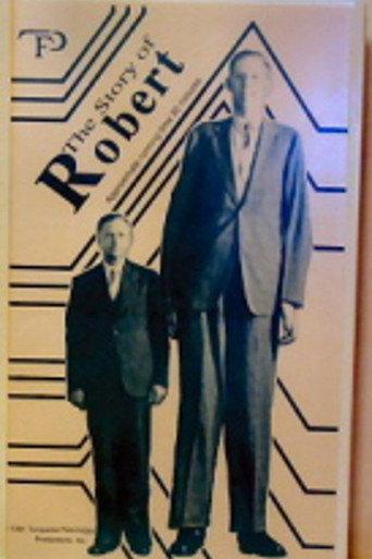The Story of Robert () poster