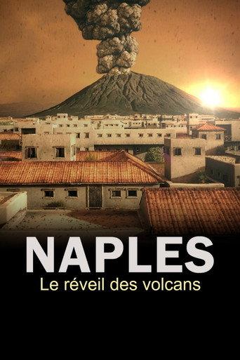 The Next Pompeii? (2019) poster
