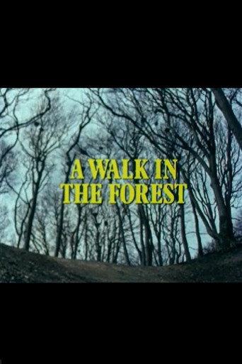 A Walk in the Forest (1980) poster
