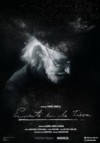 Ernesto on Earth (2020) poster